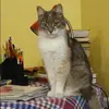 Отзыв от Екатерина Голованова